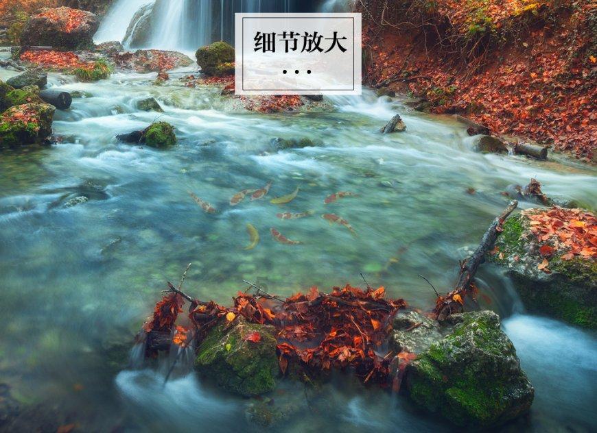 如果一个人太以自我为中心，做事从来不考虑别人的感受，而这个人恰恰又是你的亲人，你该怎么劝导？游戏画面